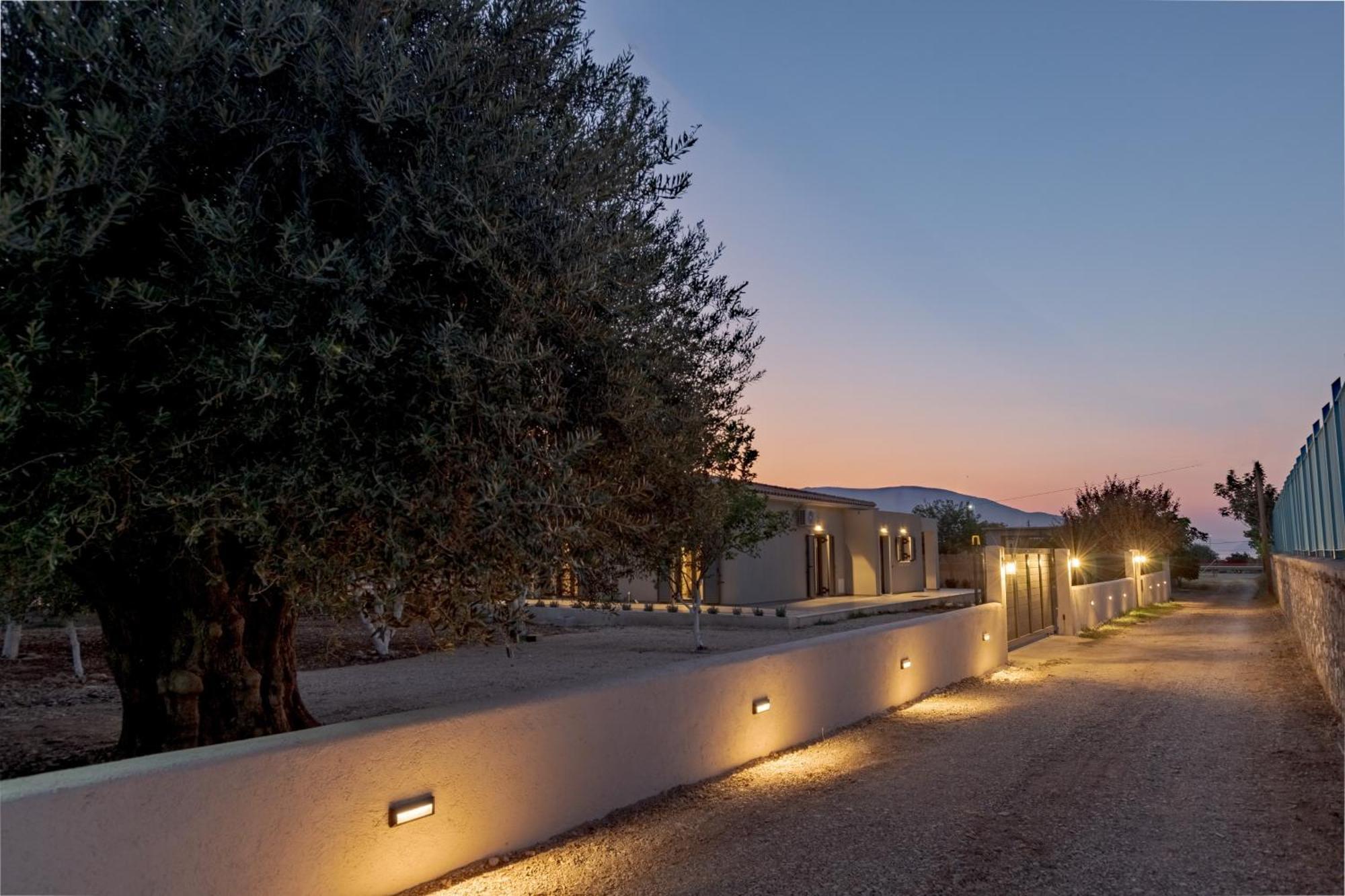 The Mulberry Tree Villa Sami  Esterno foto